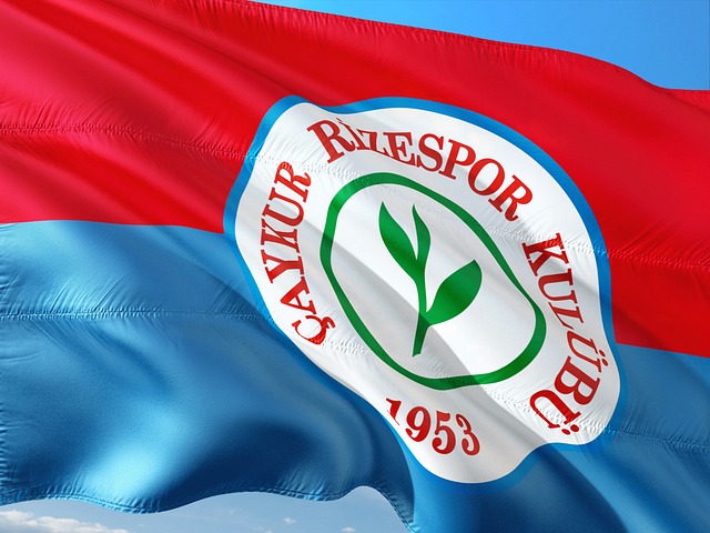 队运动中的 队运动中的